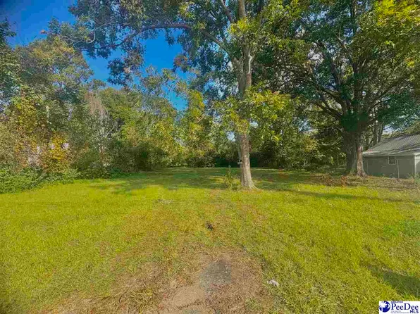 1207 Bluff Rd, Marion, SC 29571