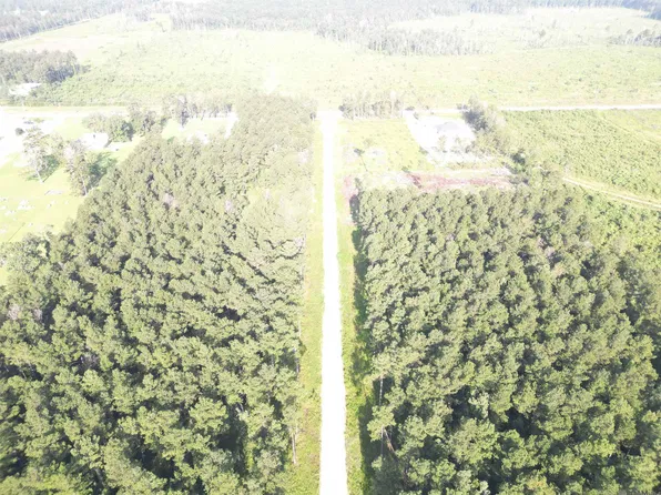 13 Butterbean Rdg, Livingston, LA 70754