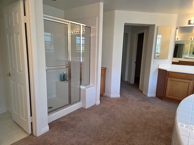 Walk-in Shower