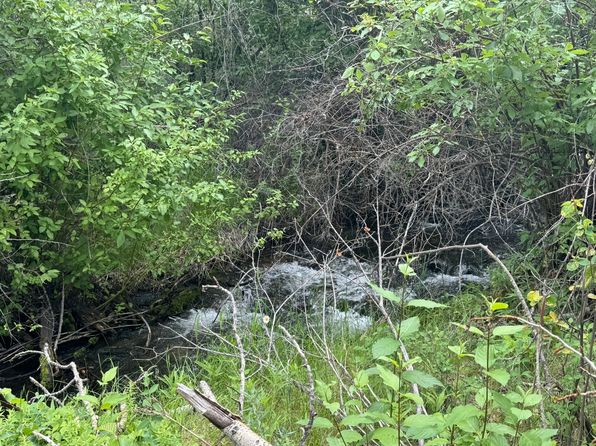 Nhn Middle Burnt Fork Rd