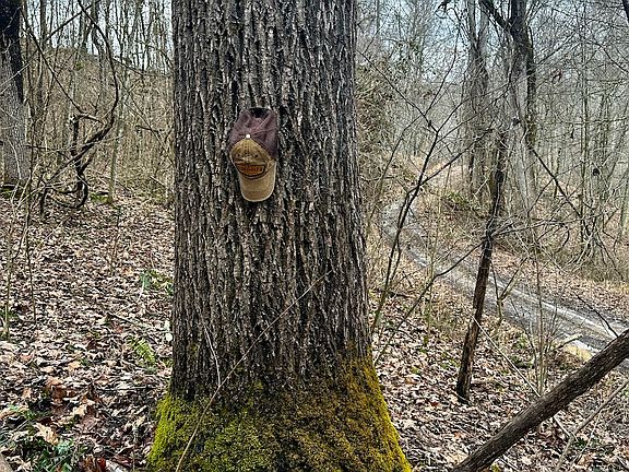5th image of 0 Little Fork Rd