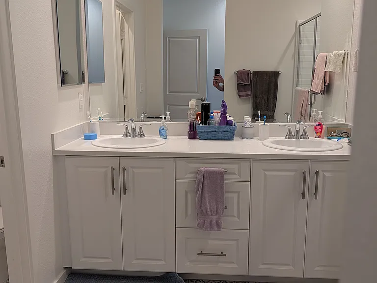Master suite bathroom