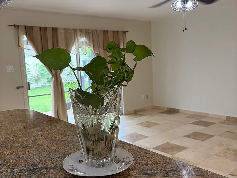 12022 Pompano Ln — Photo 16