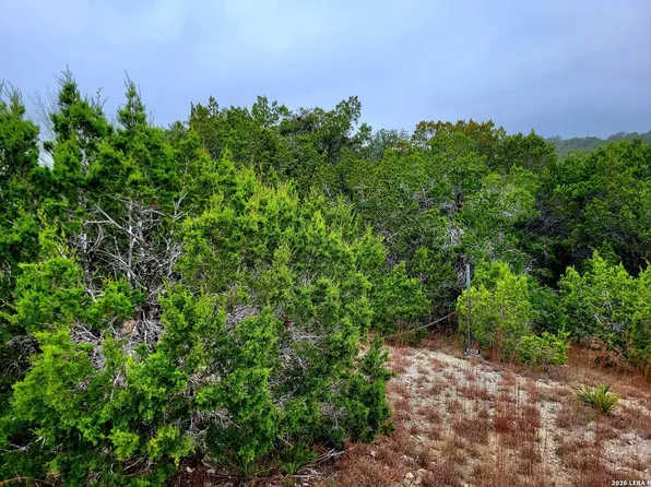 193 Appaloosa Dr LOT 135, Fischer, TX 78623