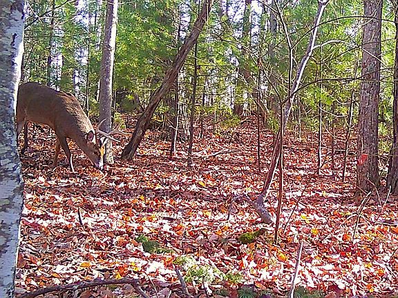 4th image of 6184 N Ridge Ln