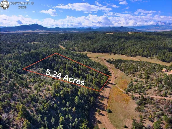 176 Arnold Dr, Cotopaxi, CO 81223