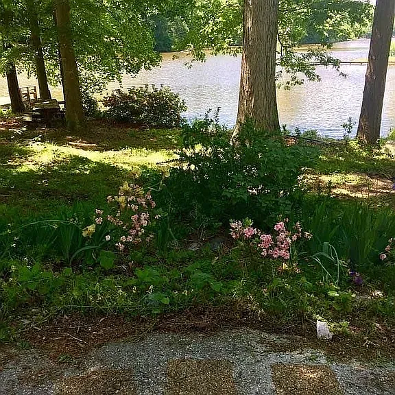 7380 Lakeshore Dr — Photo 11