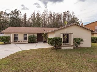 4912 Dewey Rose Ct, Tampa, FL 33624