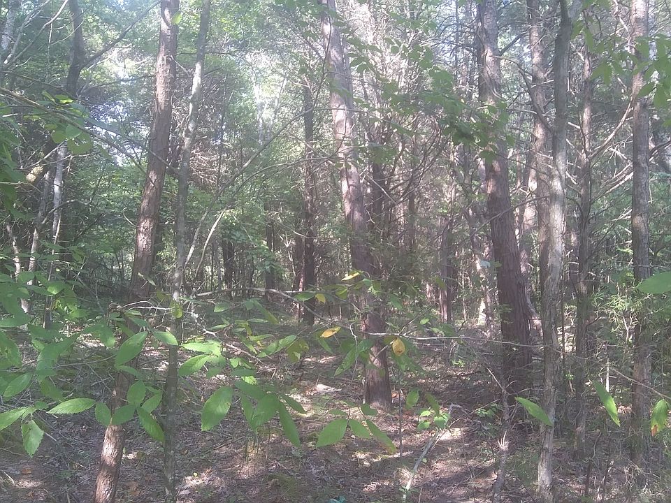 2nd image of 0 Big Bartons Creek Rd