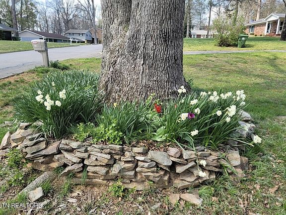 2nd image of 422 Sherwood Dr