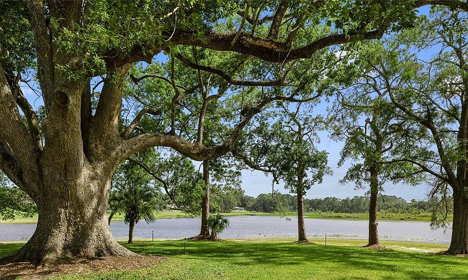 1st image of REAGAN TRAIL LOT 122