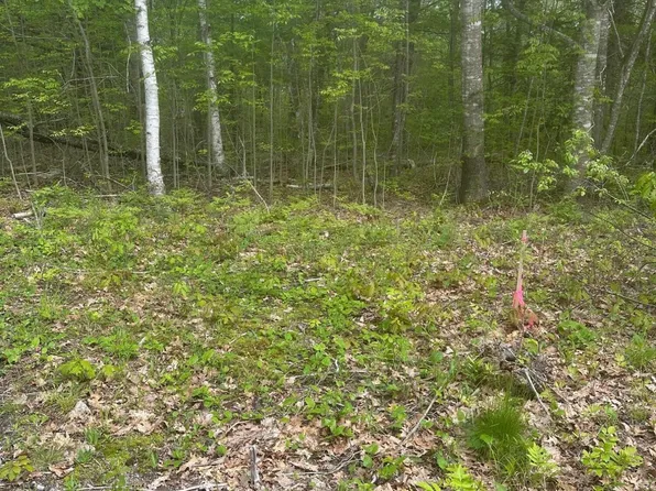 Lot 7 Unionville Road, Steuben, ME 04680