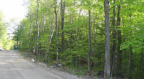 2nd image of Lot #35 Larry Drive