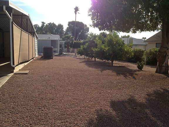 Fruit trees