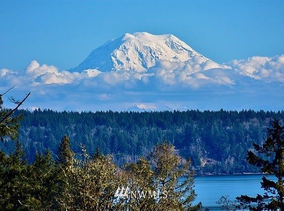 
Beautiful water and Mt. Rainier view home in Pirates Cove.  Beach rights with shellfish and a community park.