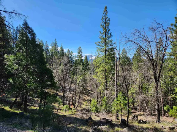 2725 Meadow View Ln, Quincy, CA 95971