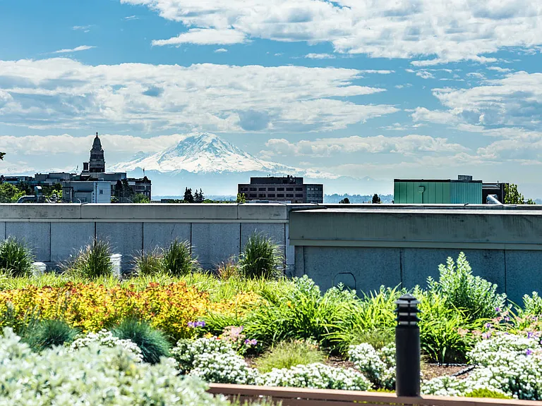 Rooftop Deck with Views of the City