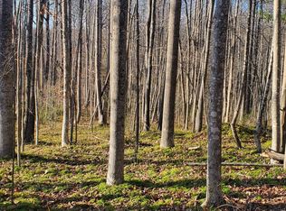 0 Roberts Ln, Rixeyville, VA 22737