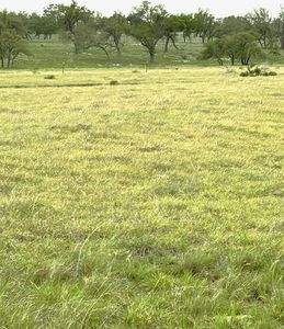 7 S Ranch Rd #783, Harper, TX, 78631