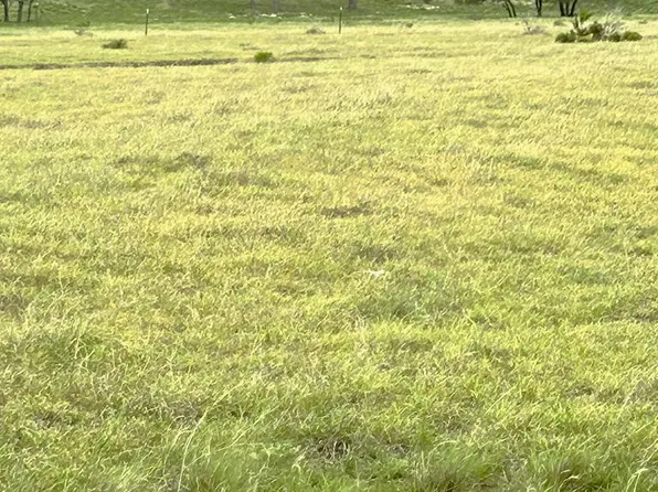 7 S Ranch Rd #783, Harper, TX 78631