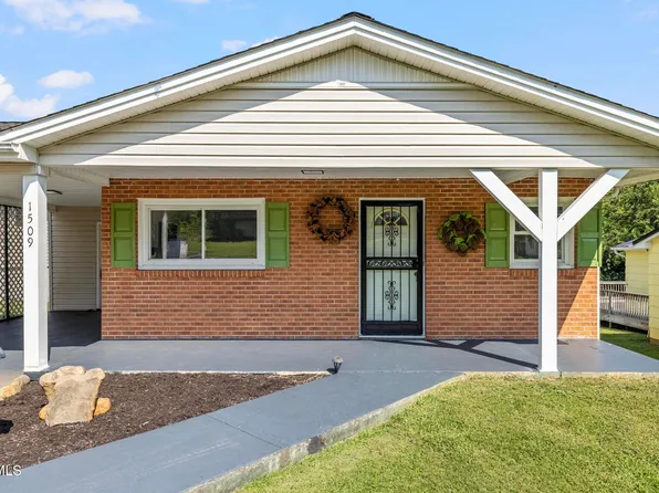 1509 E Holston Ave, Johnson City, TN 37601