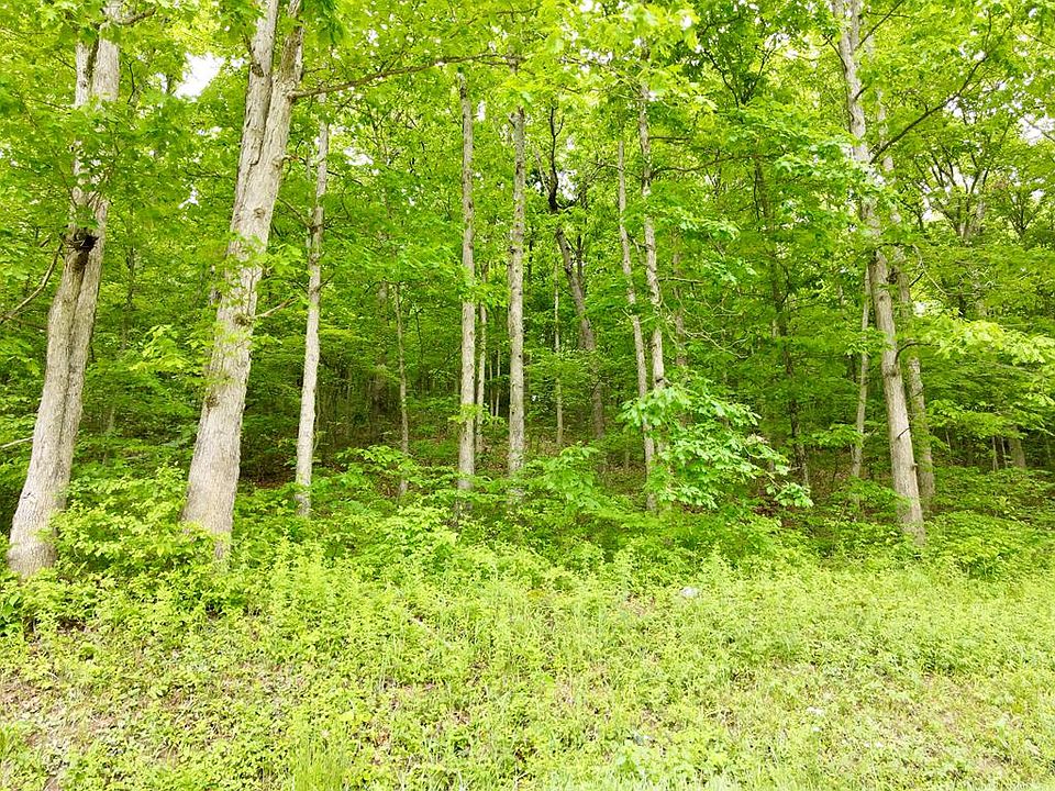 2nd image of 0 Buckeye Church Rd