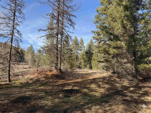 3832 Deep Lake Boundary Rd, Colville, WA 99114