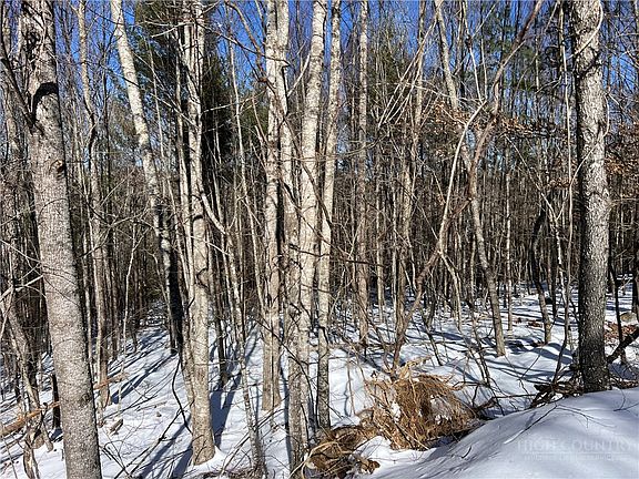 5th image of TBD (13 & 14) Timberwilde Drive