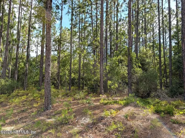 0 CR 218 PASAFINO Road, Green Cove Springs, FL 32043