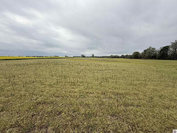 2nd image of County Road 1305/1306