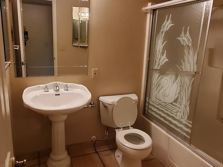 Hallway Bathroom