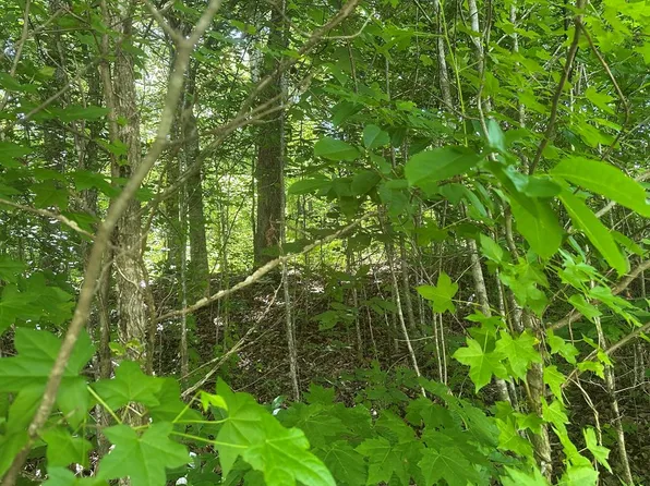 LOT 13 Apache Rd Lot 13, Jamestown, TN 38556