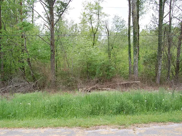 66 51st Ave, Gruetli Laager, TN 37339