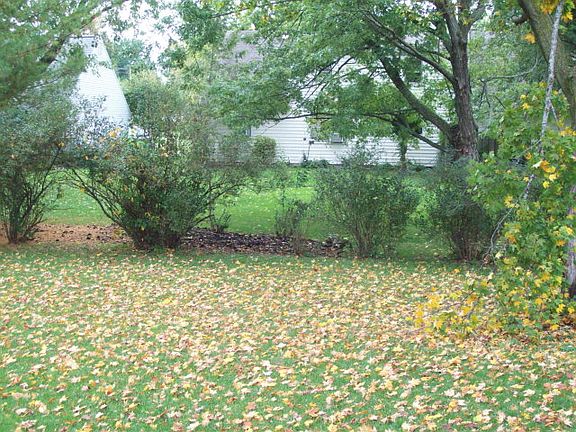 4th image of 775 Forest Lawn Dr