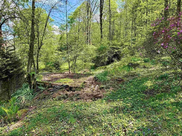 94-95 96 Crystal Ln, West Union, WV 26456