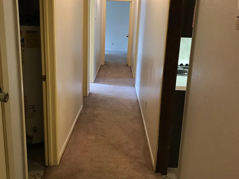 1202 Peach Spring Dr — Photo 3