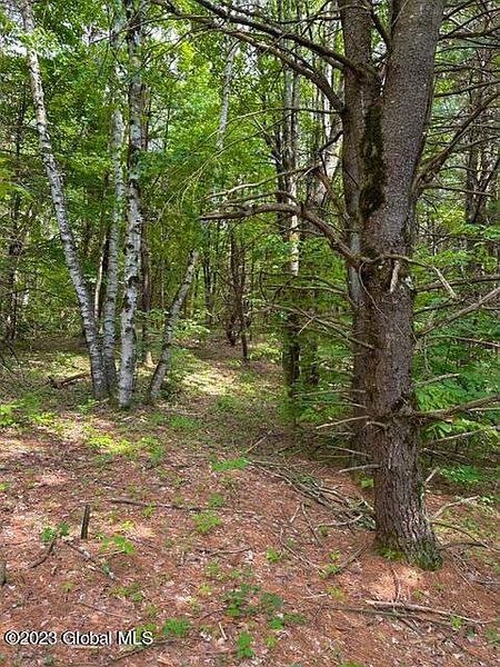 3rd image of L82.3 Old Ghost Road Lot 22