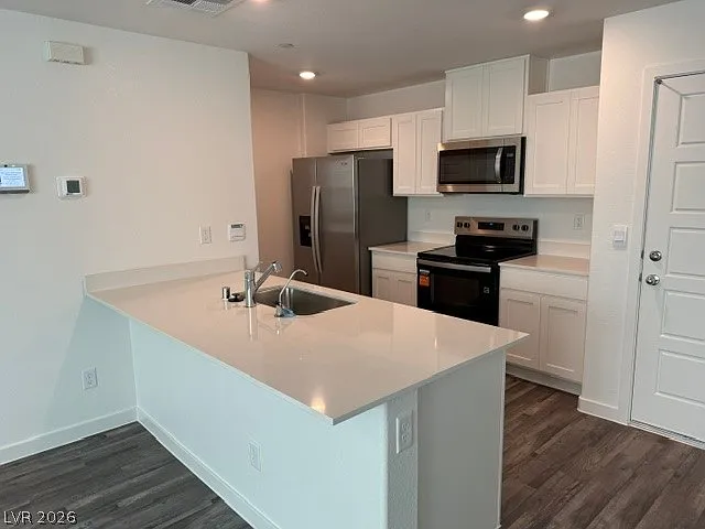 911 Rosy Starling St — Photo 5