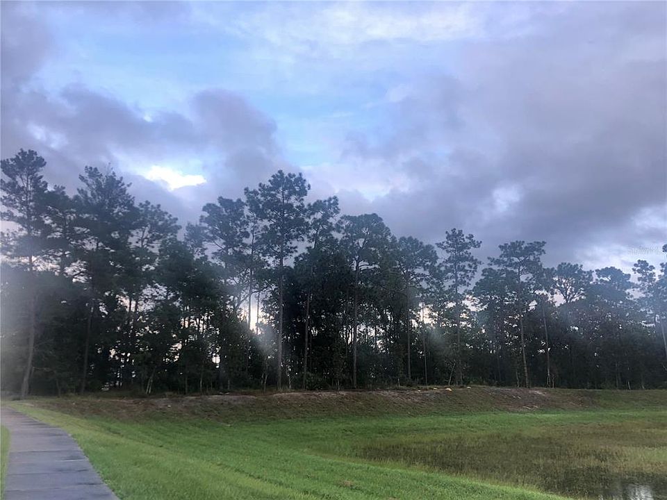 2nd image of Learning Ln #35