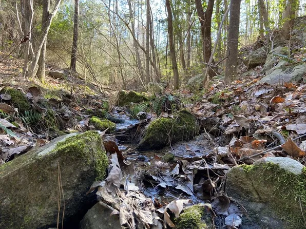 1557 Doctor Purdy Rd, Ebony, VA 23845