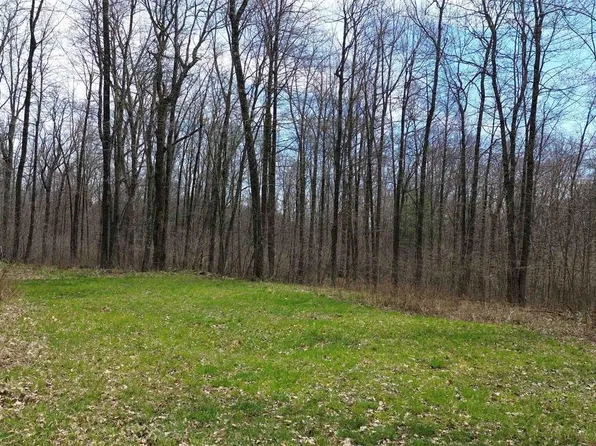 1711 GUERNSEY DRIVE, Amherst Junction, WI 54407