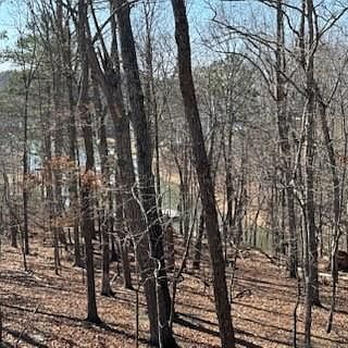 5th image of 5990 Warpath Rd