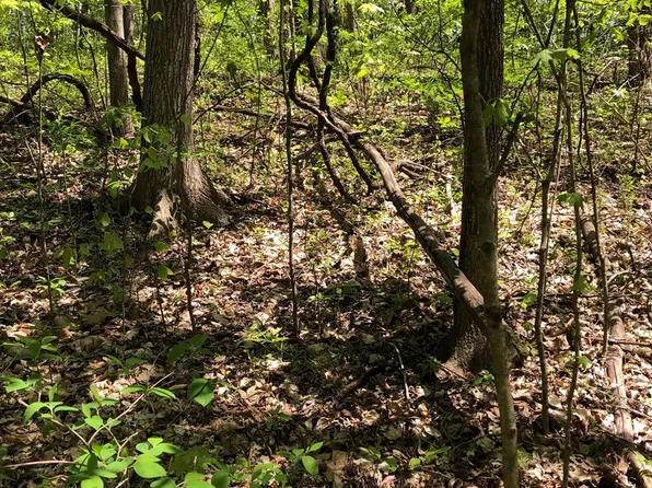 1 Pleasant Home Dr, Austin, KY 42123