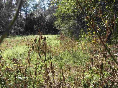 903 McGee St, Quincy, FL, 32351