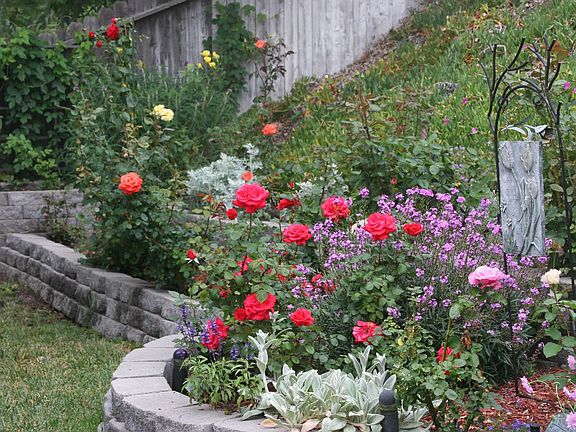 Rose Garden
