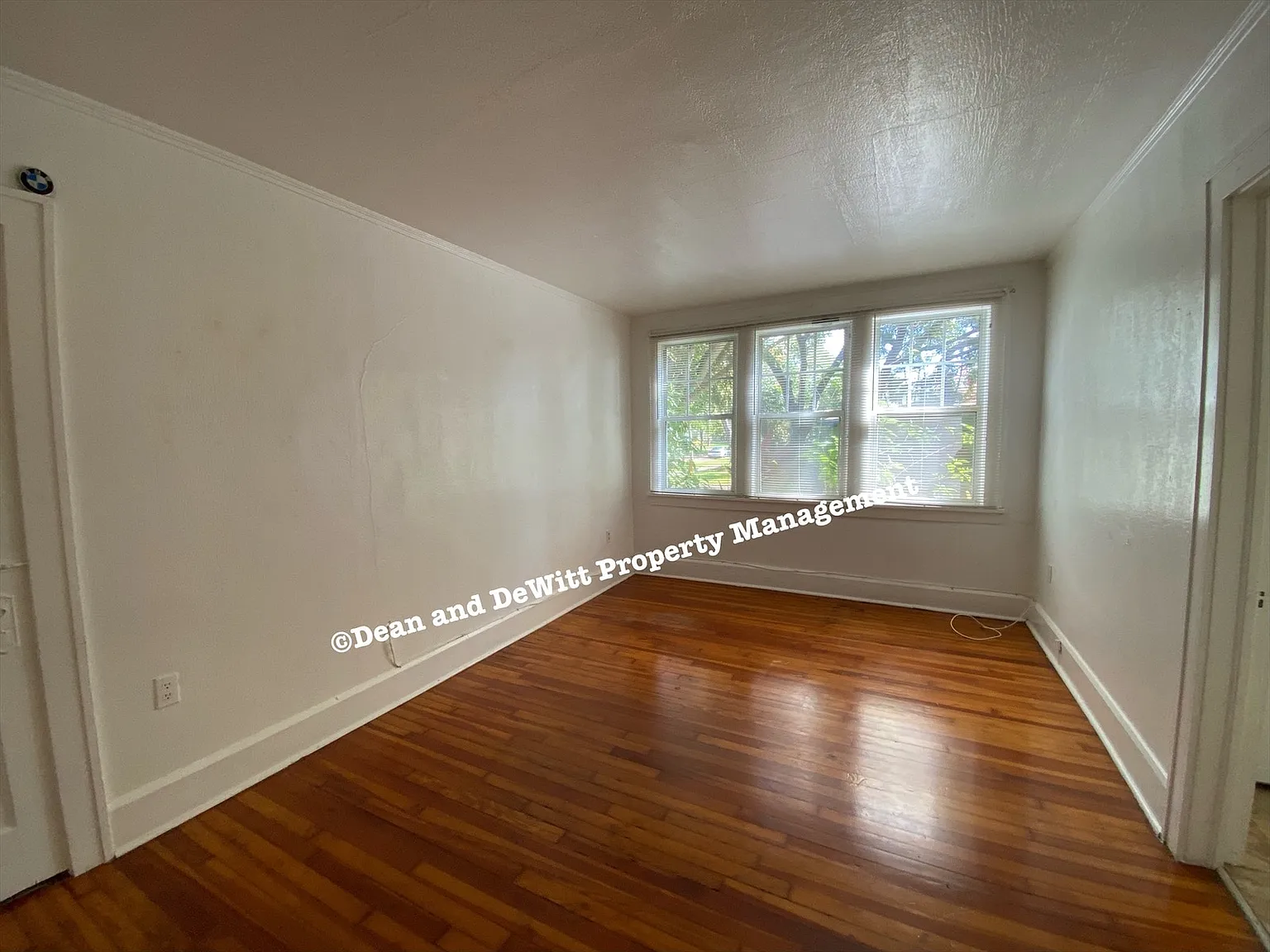 456 13th Ave NE Unit #4 — Photo 2