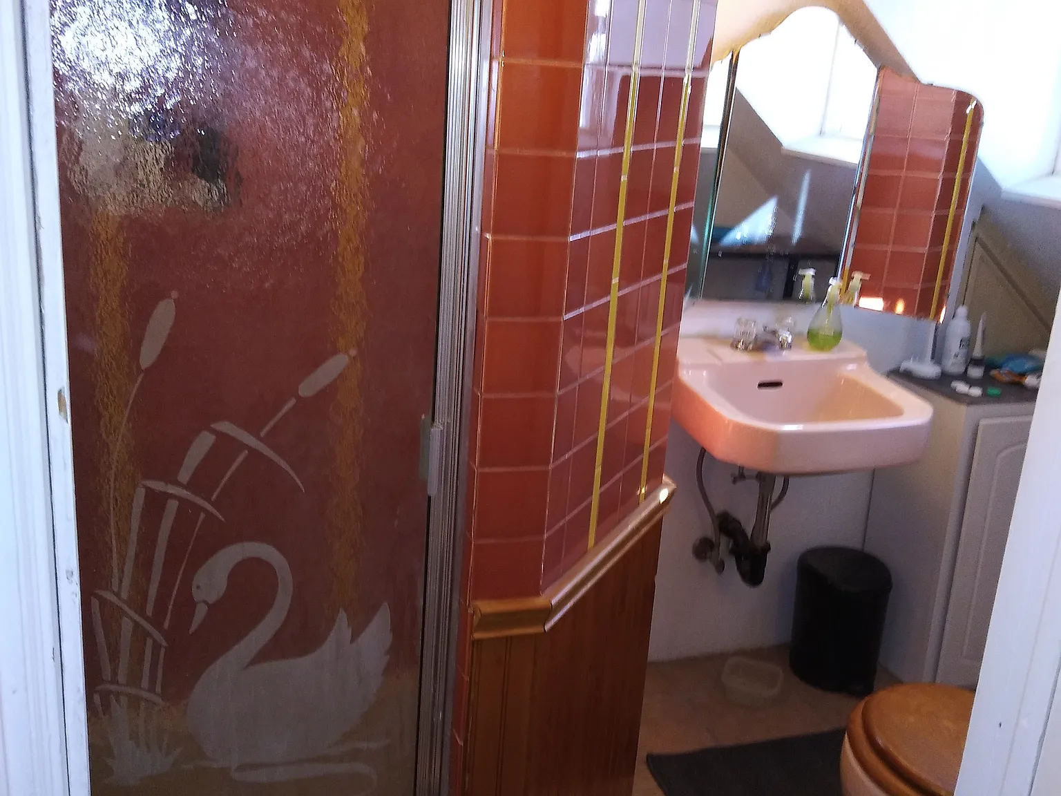 1 bed, 900 sqft, $1,250 — Photo 3