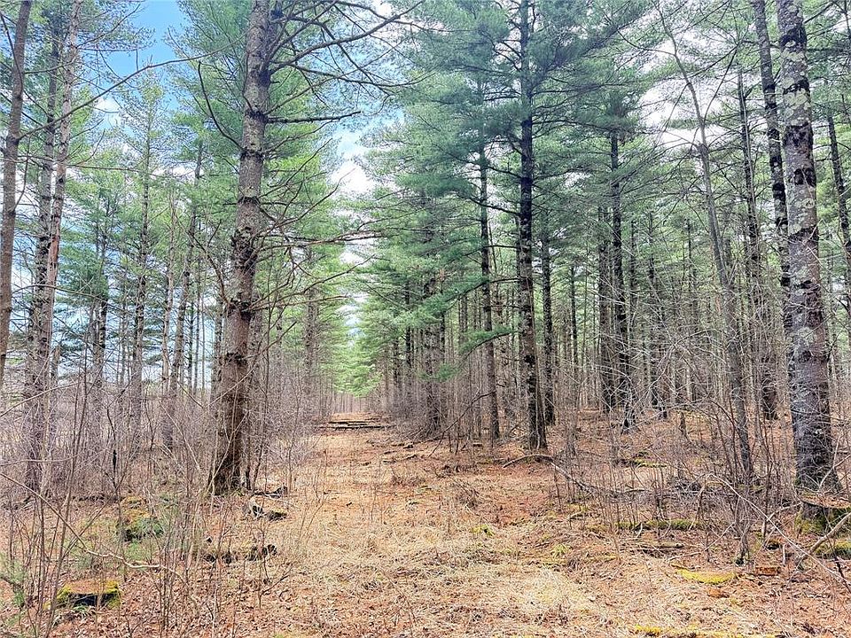 1st image of 20 Acres Star Lake Road