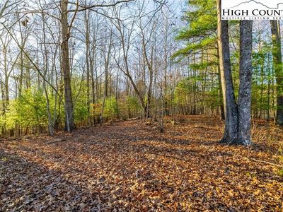 John Baker Rd, Crumpler, NC, 28617