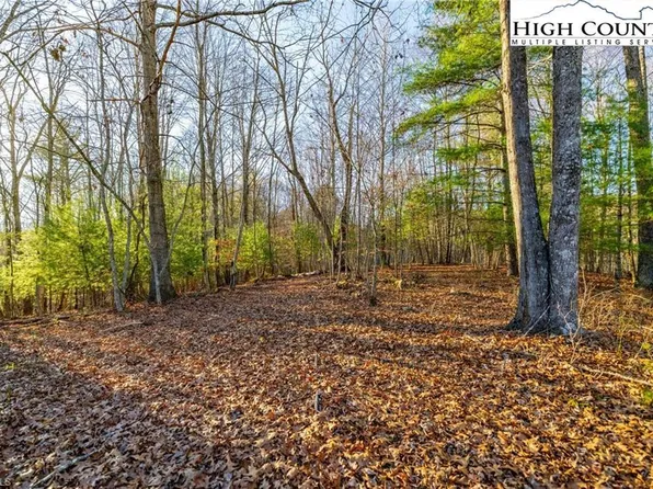 John Baker Rd, Crumpler, NC 28617